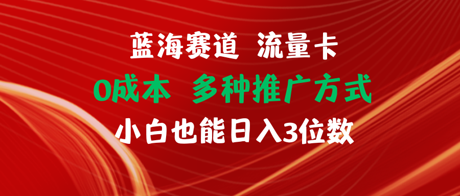 （11768期）蓝海赛道 流量卡 0成本 小白也能日入三位数-副业库