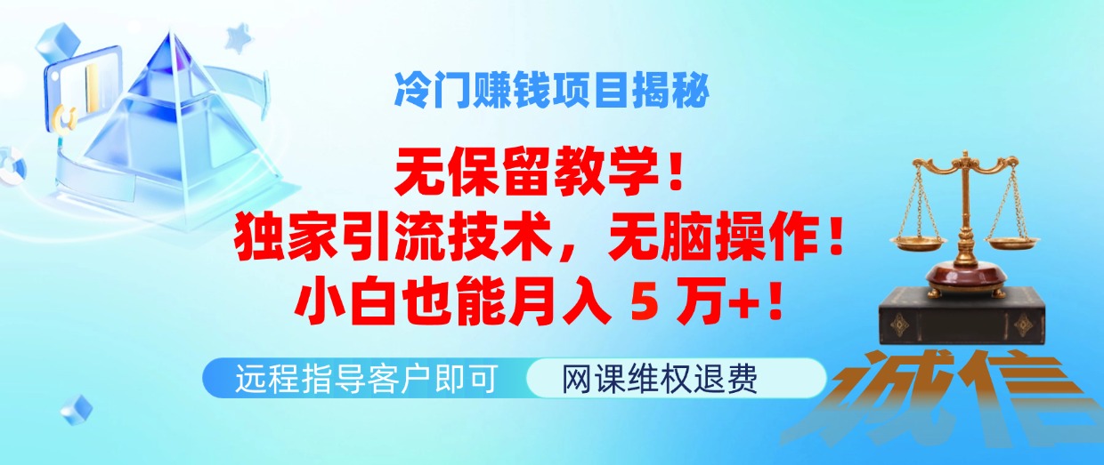 （11864期）冷门赚钱项目无保留教学！独家引流技术，无脑操作！小白也能月入5万+！-副业库