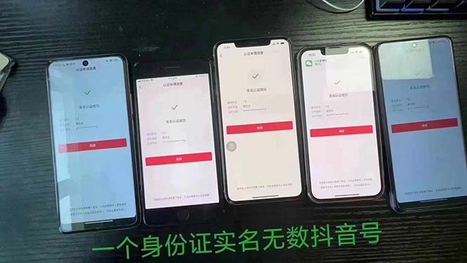 图片[2]-（11856期）抖音无限实名技术：一个SFZ号码可以十名无数个抖音账号，具体自己实操-副业库