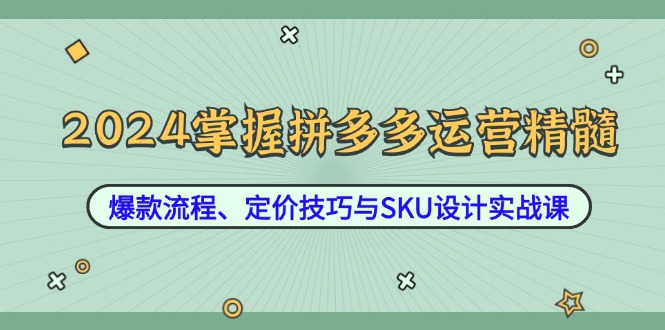 （12703期）2024掌握拼多多运营精髓：爆款流程、定价技巧与SKU设计实战课-副业库