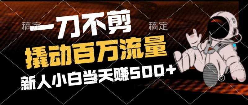 (12576期)2分钟一个作品,一刀不剪,撬动百万流量,新人小白刚做就赚500+-副业库