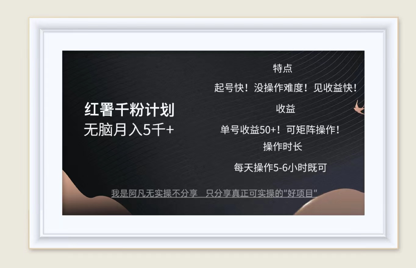 （12560期）红薯千粉计划无脑月入5千+！既做既赚！-副业库