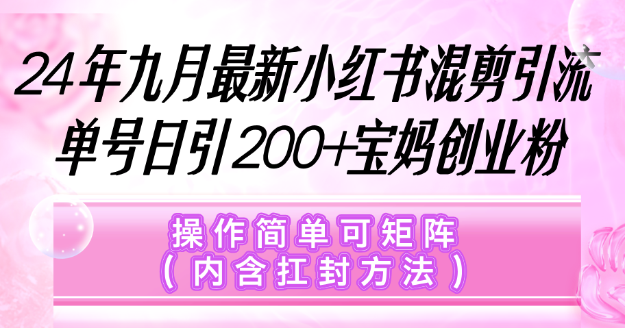 （12530期）小红书混剪引流，单号日引200+宝妈创业粉，操作简单可矩阵（内含扛封…-副业库