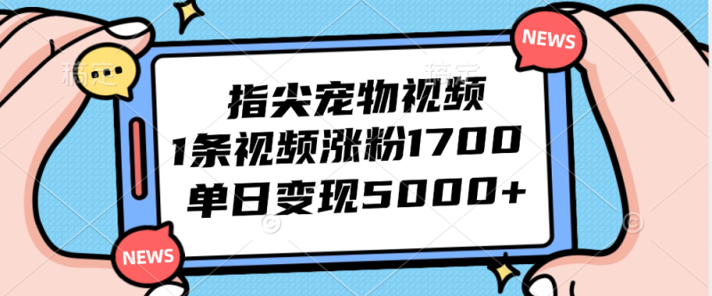 （12549期）指尖宠物视频，1条视频涨粉1700，单日变现5000+-副业库
