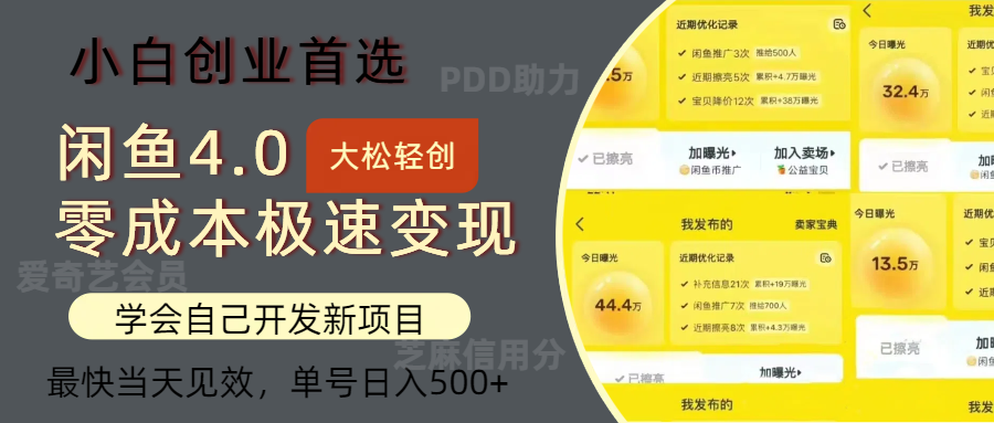 （12434期）闲鱼0成本极速变现项目，多种变现方式 单号日入500+最新玩法-副业库