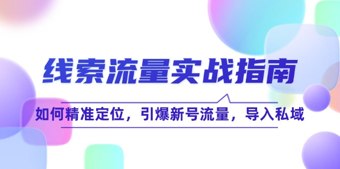 （12382期）线 索 流 量-实战指南：如何精准定位，引爆新号流量，导入私域-副业库