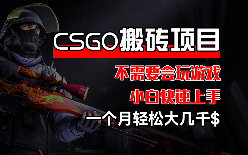 （12332期）CSGO 装备搬砖项目，操作简单，不需要会玩游戏，小白也能快速上手，一…-副业库
