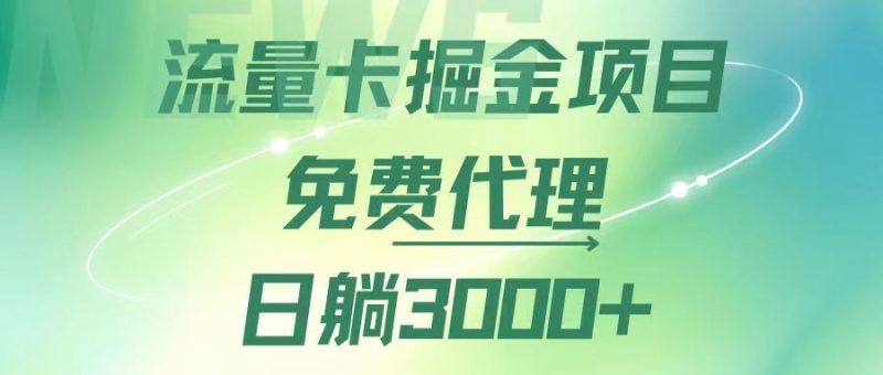 （12321期）流量卡掘金代理，日躺赚3000+，变现暴力，多种推广途径-副业库