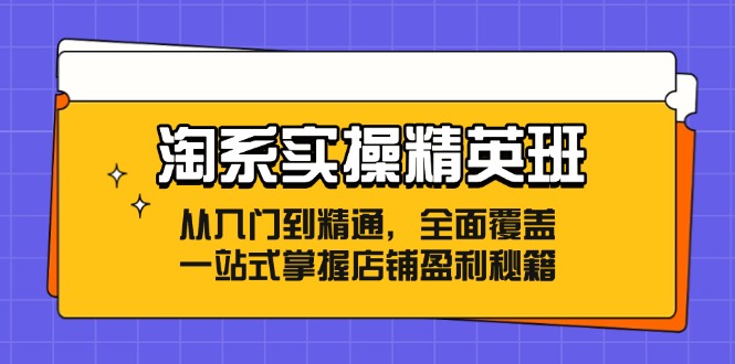 （12276期）淘系实操精英班：从入门到精通，全面覆盖，一站式掌握店铺盈利秘籍-副业库