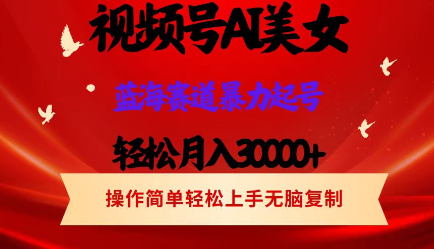 （12178期）视频号AI美女跳舞，轻松月入30000+，蓝海赛道，流量池巨大，起号猛，当…-副业库