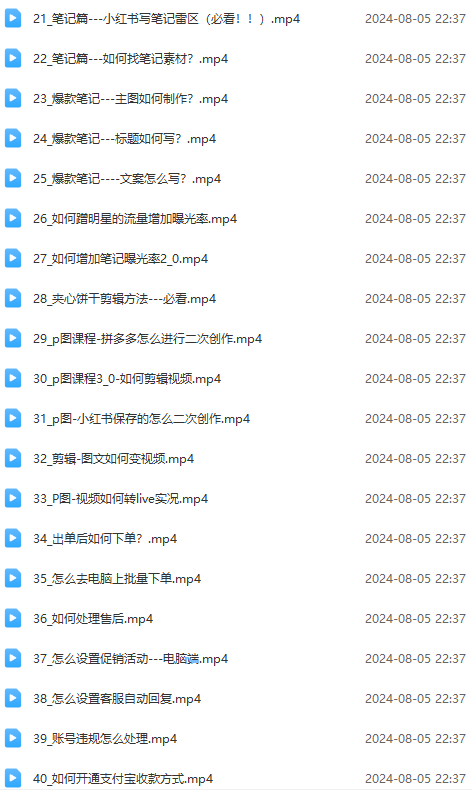 图片[3]-（12003期）2024小红书电商实战课：全体系打造 全方位梳理 小红书电商逻辑体系 (42节)-副业库