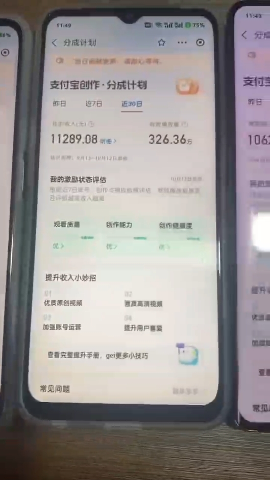 图片[4]-（12970期）2024年底最稳项目，小白无门槛，坚持做三个月，回家过肥年！！！-副业库