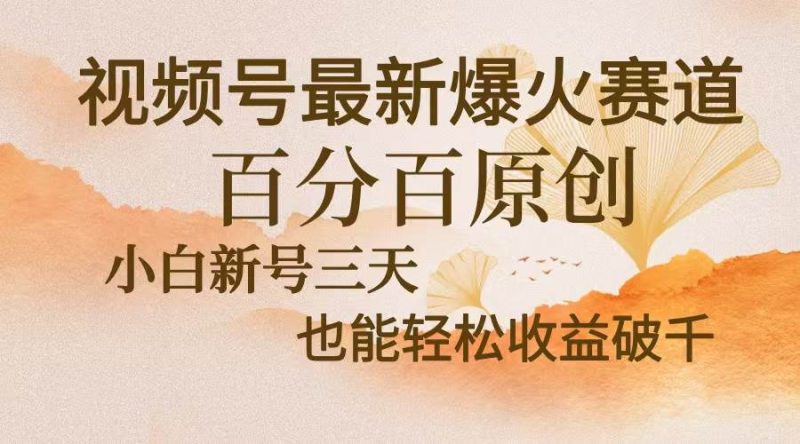 (13225期)视频号最新爆火赛道,中老年粉深信不疑,百分百原创,新号三天收益轻松…-副业库