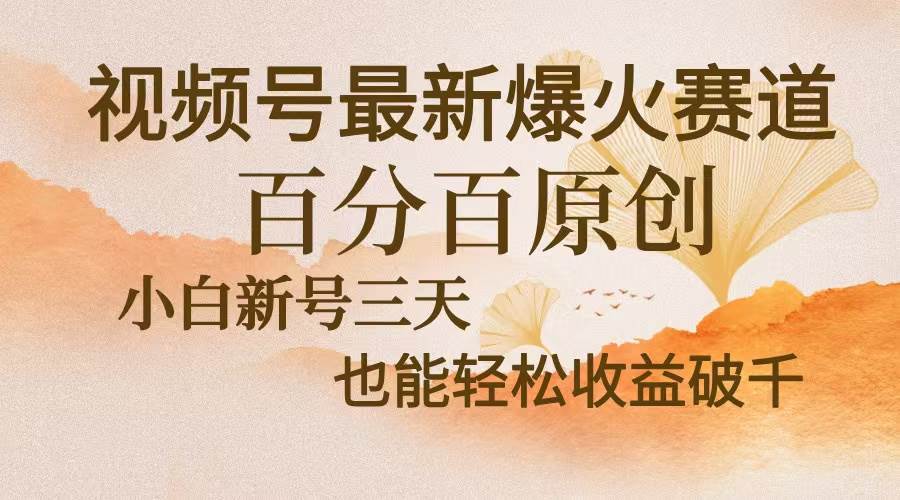 （13225期）视频号最新爆火赛道，中老年粉深信不疑，百分百原创，新号三天收益轻松…-副业库