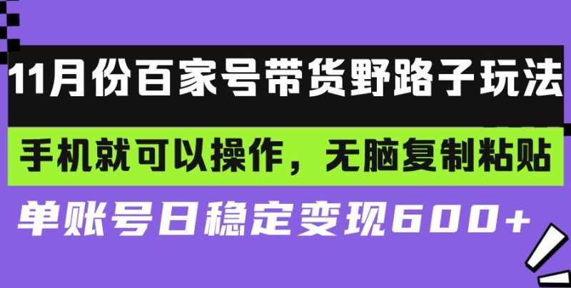 （13281期）百家号带货野路子玩法 手机就可以操作，无脑复制粘贴 单账号日稳定变现…-副业库