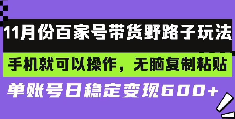 （13281期）百家号带货野路子玩法 手机就可以操作，无脑复制粘贴 单账号日稳定变现…-副业库