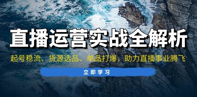 （13294期）直播运营实战全解析：起号稳流、货源选品、单品打爆，助力直播事业腾飞-副业库