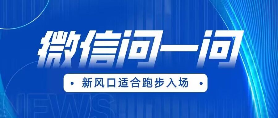 全网首发微信问一问新风口变现项目（价值1999元）-副业库