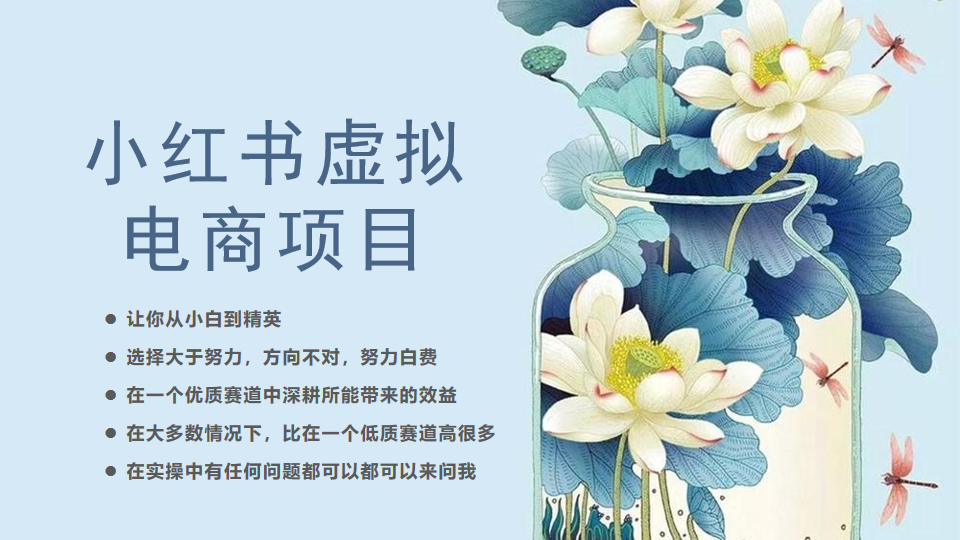 小红书虚拟电商从0到1小白到精英（20节实操课程）-副业库