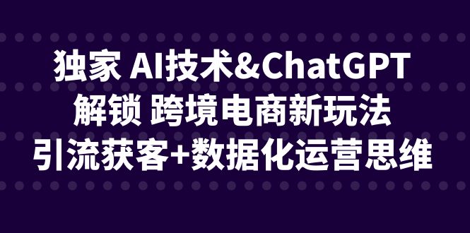 独家 AI技术&ChatGPT解锁 跨境电商新玩法，引流获客+数据化运营思维-副业库