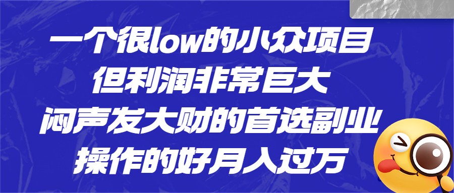 一个很low的小众项目，但利润非常巨大，闷声发大财的首选副业，操作的好月入过万-副业库