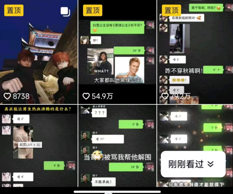 图片[2]-抖音搞笑对话项目详解-涨粉快作品简单，小白轻松上手-副业库