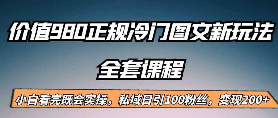 外面卖980的正规冷门图文新玩法，私域日引100粉丝，变现200+-副业库