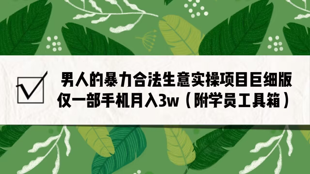 男人的暴力合法生意实操项目巨细版：仅一部手机月入3w（附赠学员工具箱）-副业库