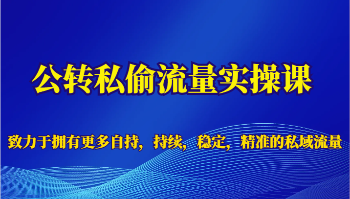 公转私偷流量实操课，致力于拥有更多自持，持续，稳定，精准的私域流量-副业库