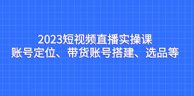 2023短视频直播实操课，账号定位、带货账号搭建、选品等-副业库