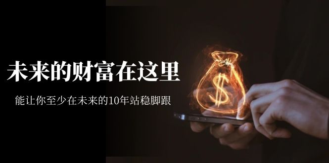 某收费文章《未来的财富在这里》能让你至少在未来的10年站稳脚跟-副业库