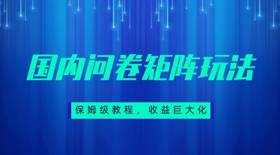 保姆级教程，国内问卷矩阵玩法，轻松赚收益-副业库
