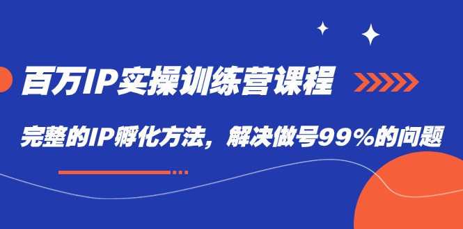 百万IP实战训练营课程，完整的IP孵化方法，解决做号99%的问题-副业库