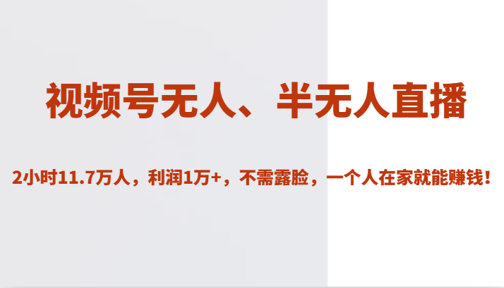 视频号无人、半无人直播2小时11.7万人，利润1万+，不需露脸，一个人在家就能赚钱！-副业库
