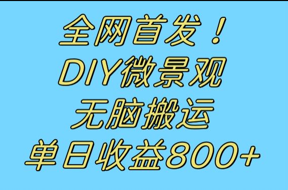 全网首发冷门赛道！DIY微景观，无脑搬运视频，日收益800+-副业库