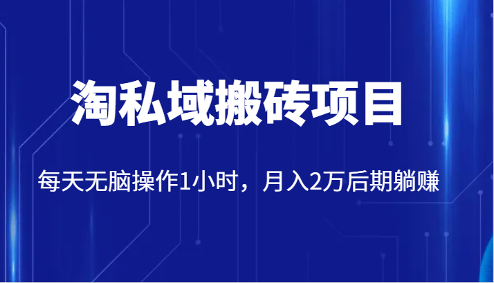 价值2980的淘私域搬砖项目，每天无脑操作1小时，月入2万后期躺赚-副业库
