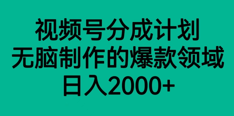 视频号分成计划，轻松无脑制作的爆款领域，日入2000+-副业库