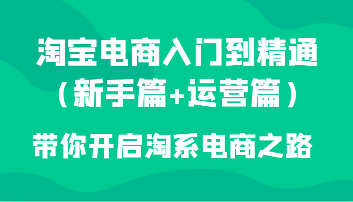 淘宝电商入门到精通（新手篇+运营篇）带你开启淘系电商之路-副业库