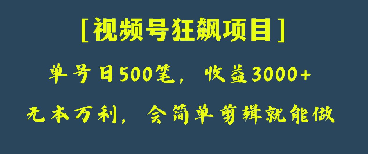 日收款500笔，纯利润3000+，视频号狂飙项目！-副业库