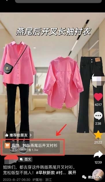 图片[3]-AI图文带货项目：不用出镜，不用拍短视频，不用做直播 就能出单，赚取佣金-副业库