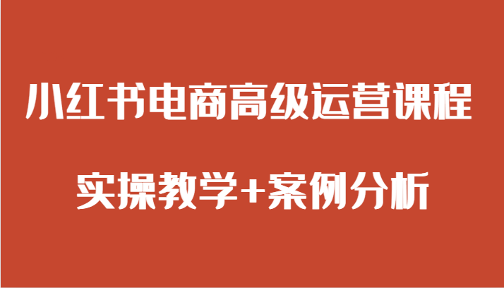 小红书电商高级运营课程 实操教学+案例分析-副业库