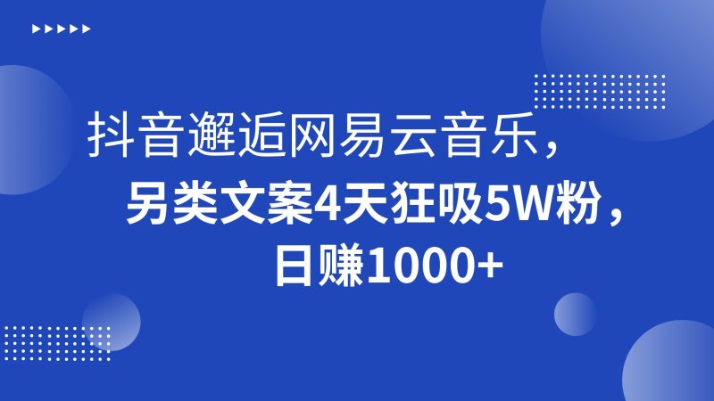 抖音邂逅网易云音乐，另类文案4天狂吸5W粉，日赚1000+-副业库