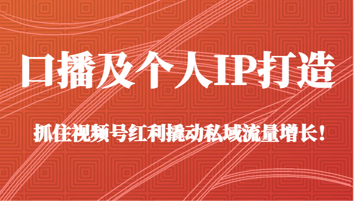 口播及个人IP打造，抓住视频号红利撬动私域流量增长！（45节课）-副业库