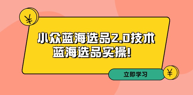 拼多多培训第33期：小众蓝海选品2.0技术-蓝海选品实操-副业库