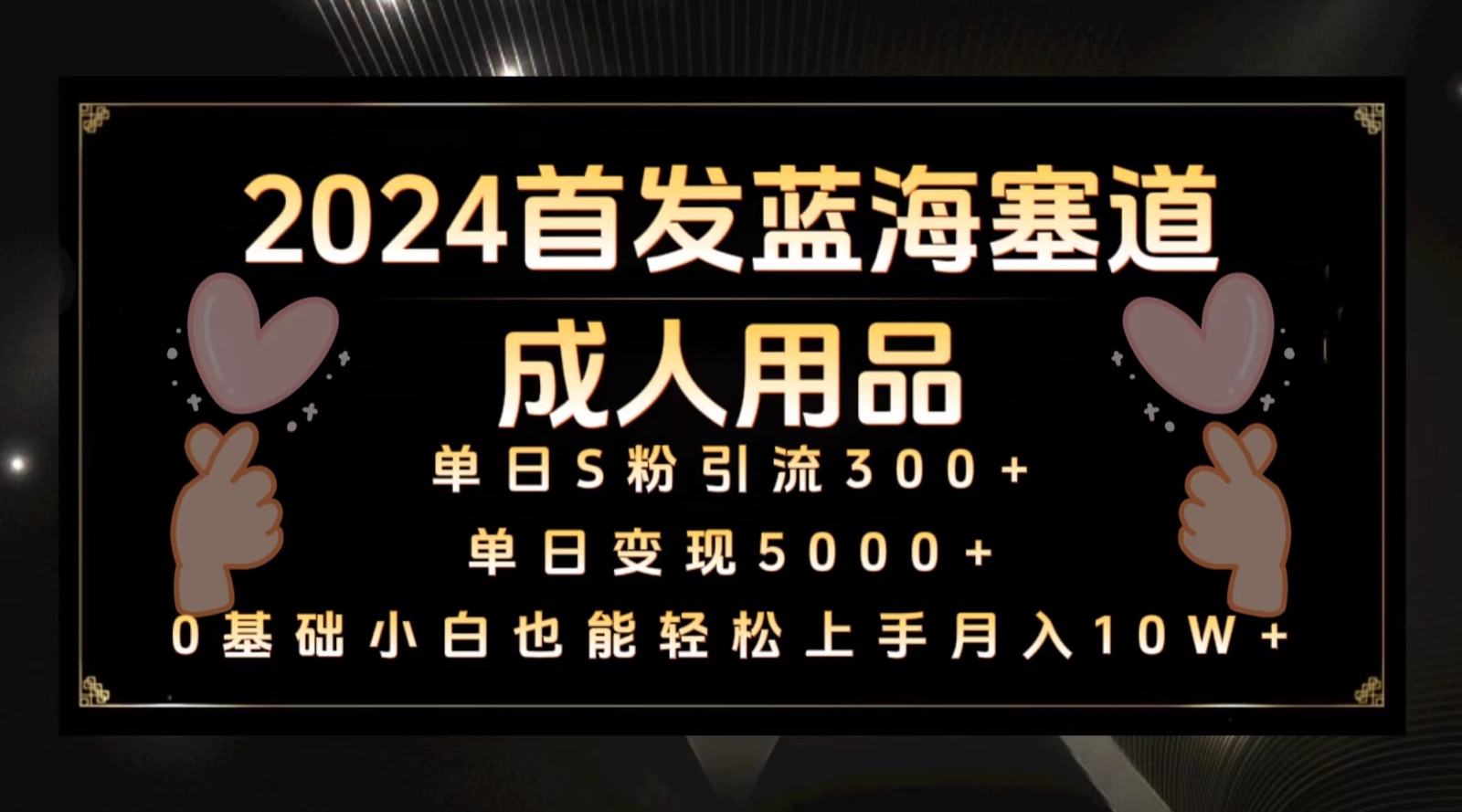 2024首发蓝海塞道成人用品，月入10W+保姆教程-副业库