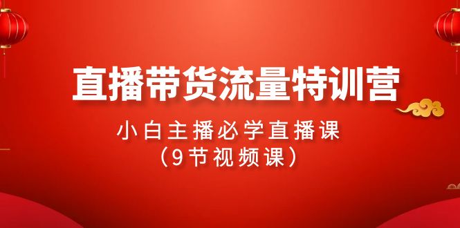 2024直播带货流量特训营，小白主播必学直播课（9节视频课）-副业库