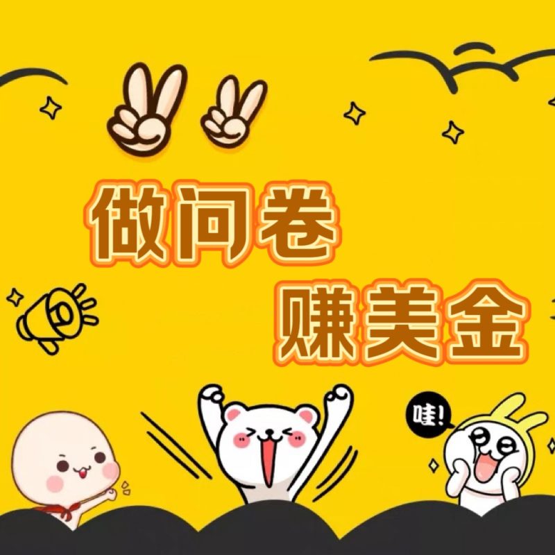 国外问卷调查小白家也可批量操作（口子查站点查渠道查）真正的长久稳定项目 日入1500+-副业库