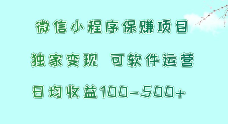 微信小程序保赚项目，日均收益100~500+，独家变现，可软件运营-副业库