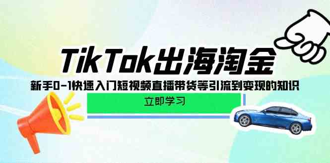 TikTok出海淘金，新手0-1快速入门短视频直播带货等引流到变现的知识-副业库