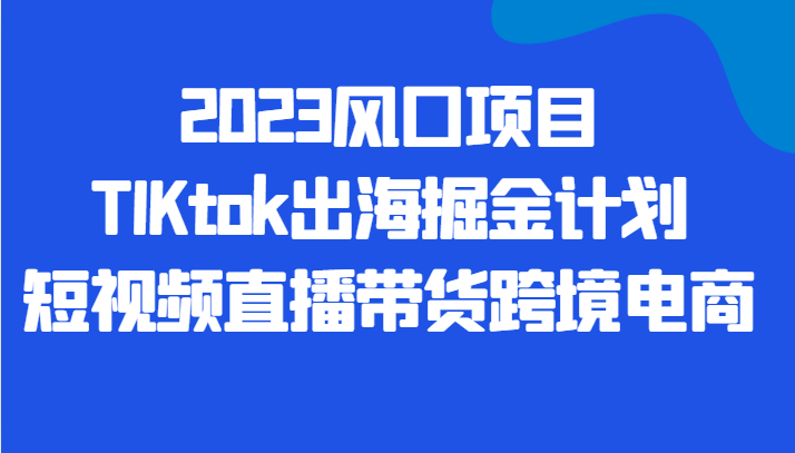 2023风口项目TIKtok出海掘金计划短视频直播带货跨境电商-副业库